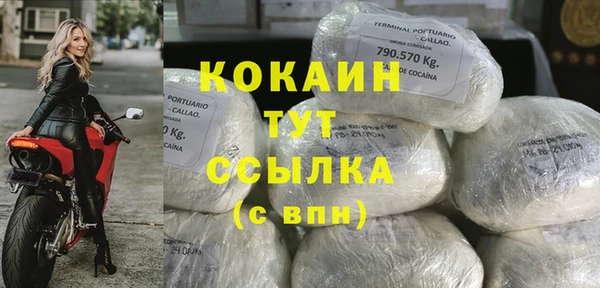 МДПВ Бородино
